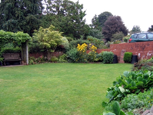 garden1