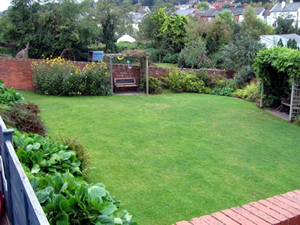 garden2